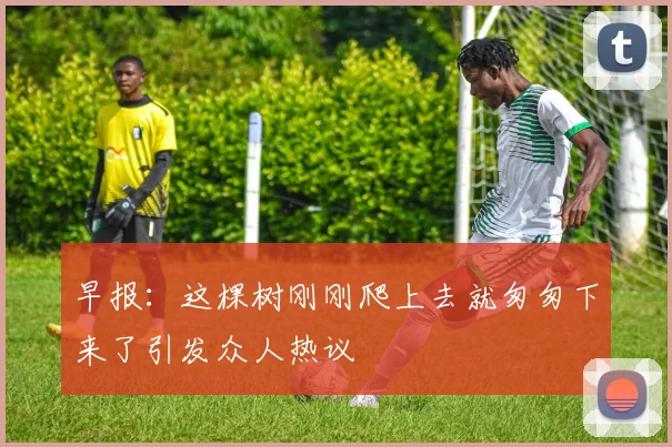 早报：这棵树刚刚爬上去就匆匆下来了引发众人热议
